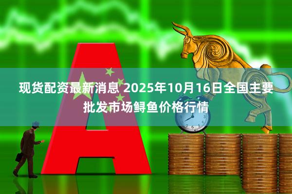现货配资最新消息 2025年10月16日全国主要批发市场鲟鱼价格行情
