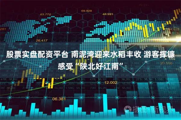 股票实盘配资平台 南泥湾迎来水稻丰收 游客挥镰感受“陕北好江南”