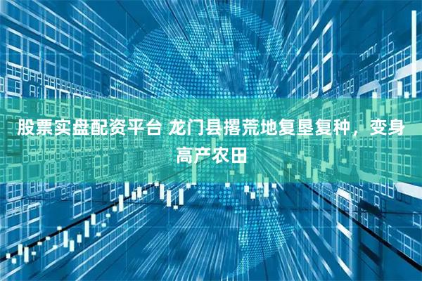 股票实盘配资平台 龙门县撂荒地复垦复种，变身高产农田