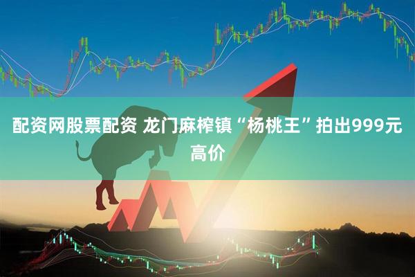 配资网股票配资 龙门麻榨镇“杨桃王”拍出999元高价
