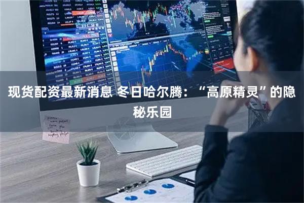 现货配资最新消息 冬日哈尔腾：“高原精灵”的隐秘乐园